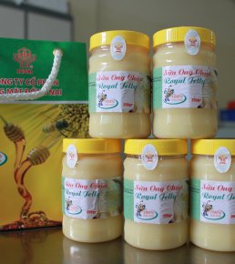 Sữa ong chúa - Mật Ong Sao Mai - Công Ty CP SX TM Giang Mỹ Châu